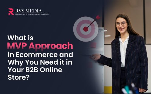 What is MVP Approach in Ecommerce and Why You Need it in Your B2B Online Store?  